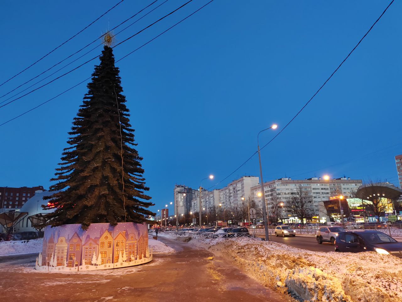 Елочки сестрички зеленые